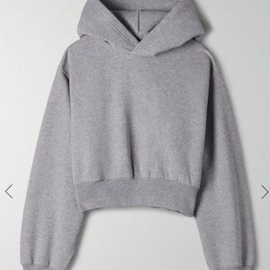 Aritzia Tna CozyAF Perfect Shrunken Hoodie in Heather Dover Grey